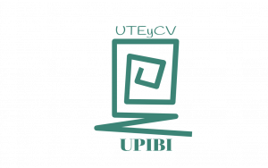 UPIBIRTUAL