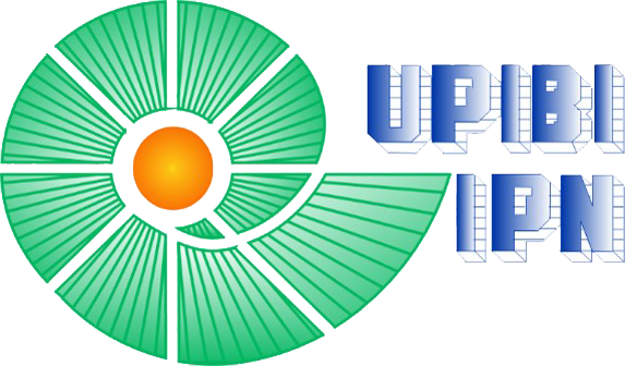 UPIBIRTUAL